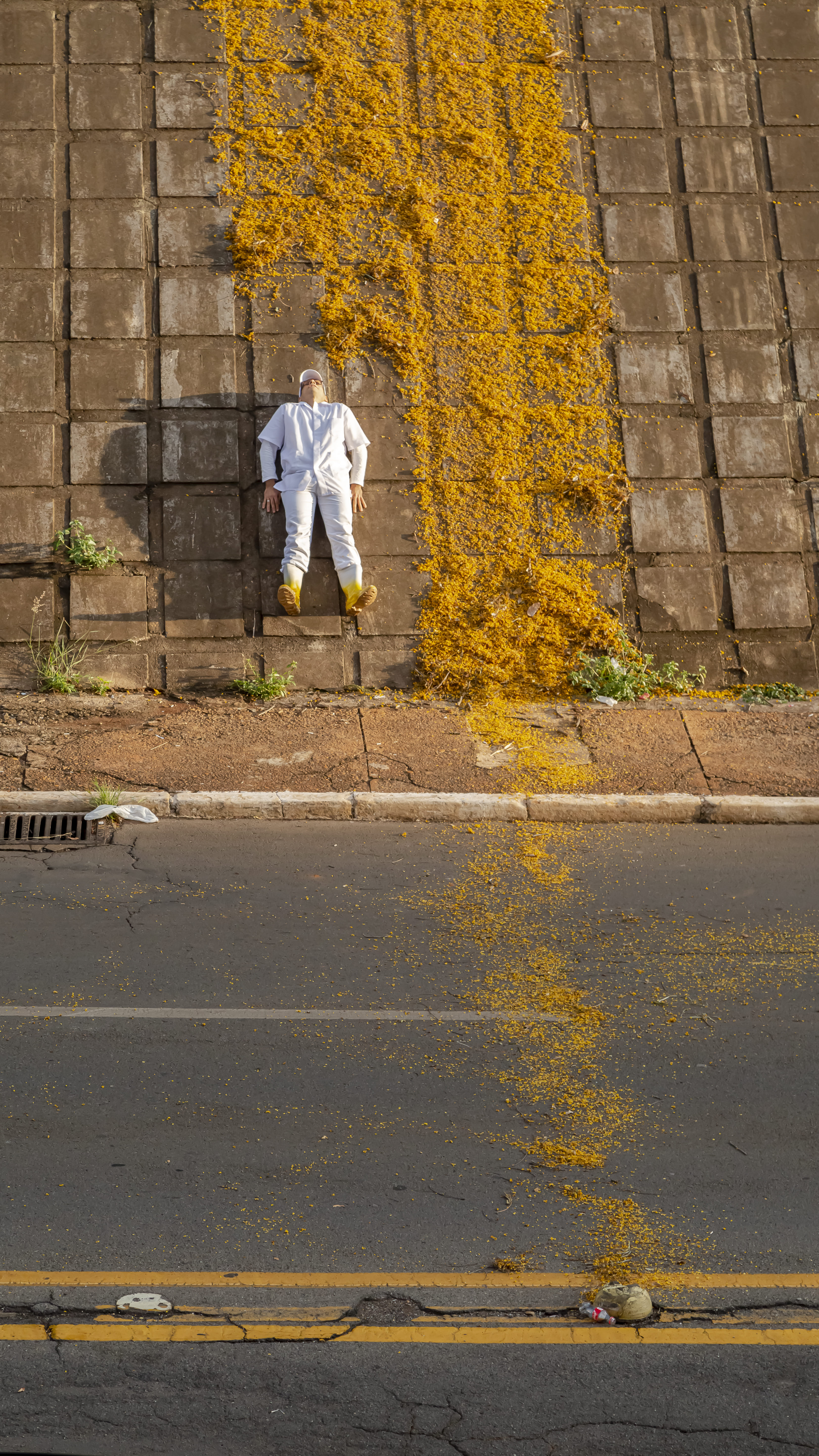 Obra de Marcelo Campos Calango.