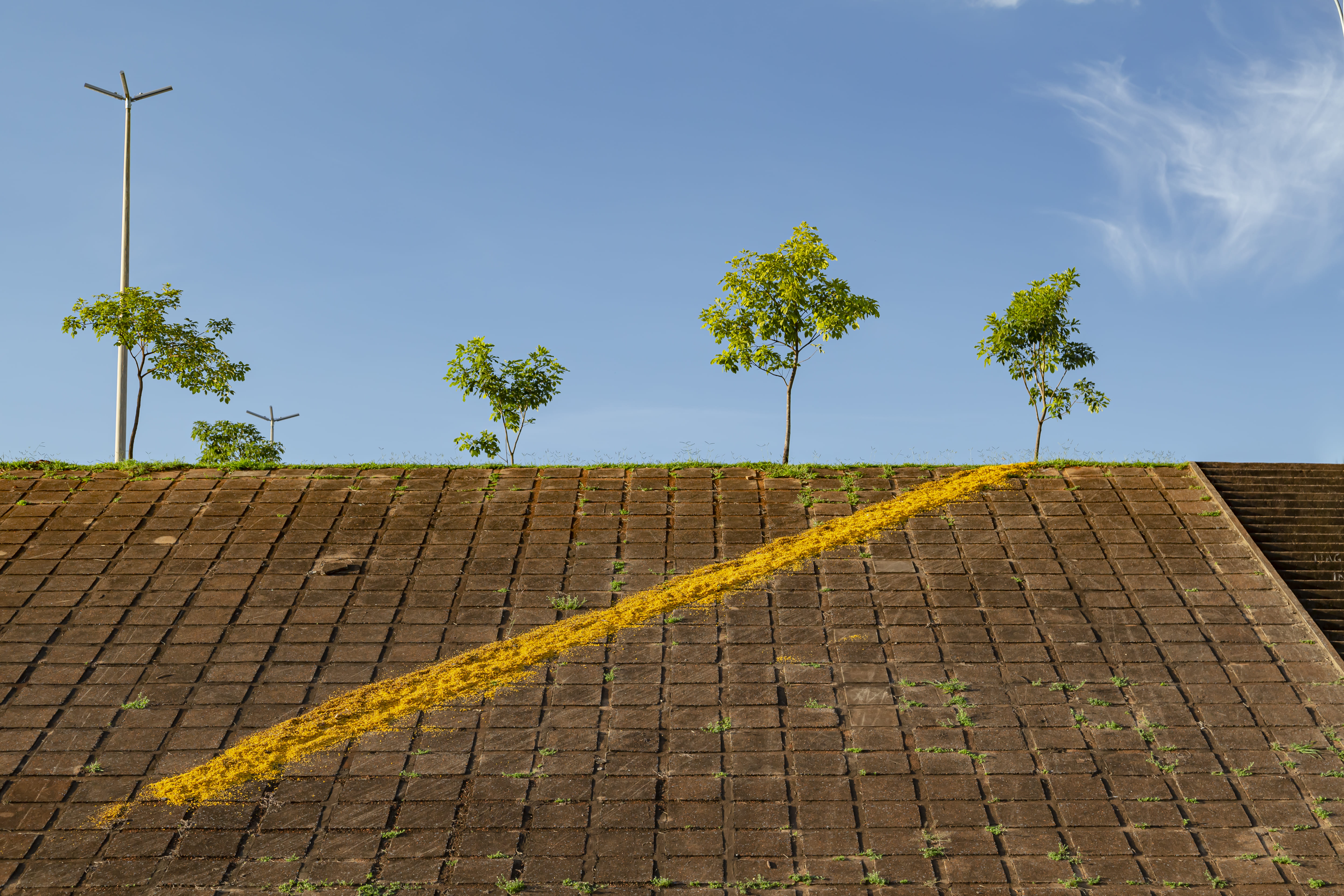 Obra de Marcelo Campos Calango.