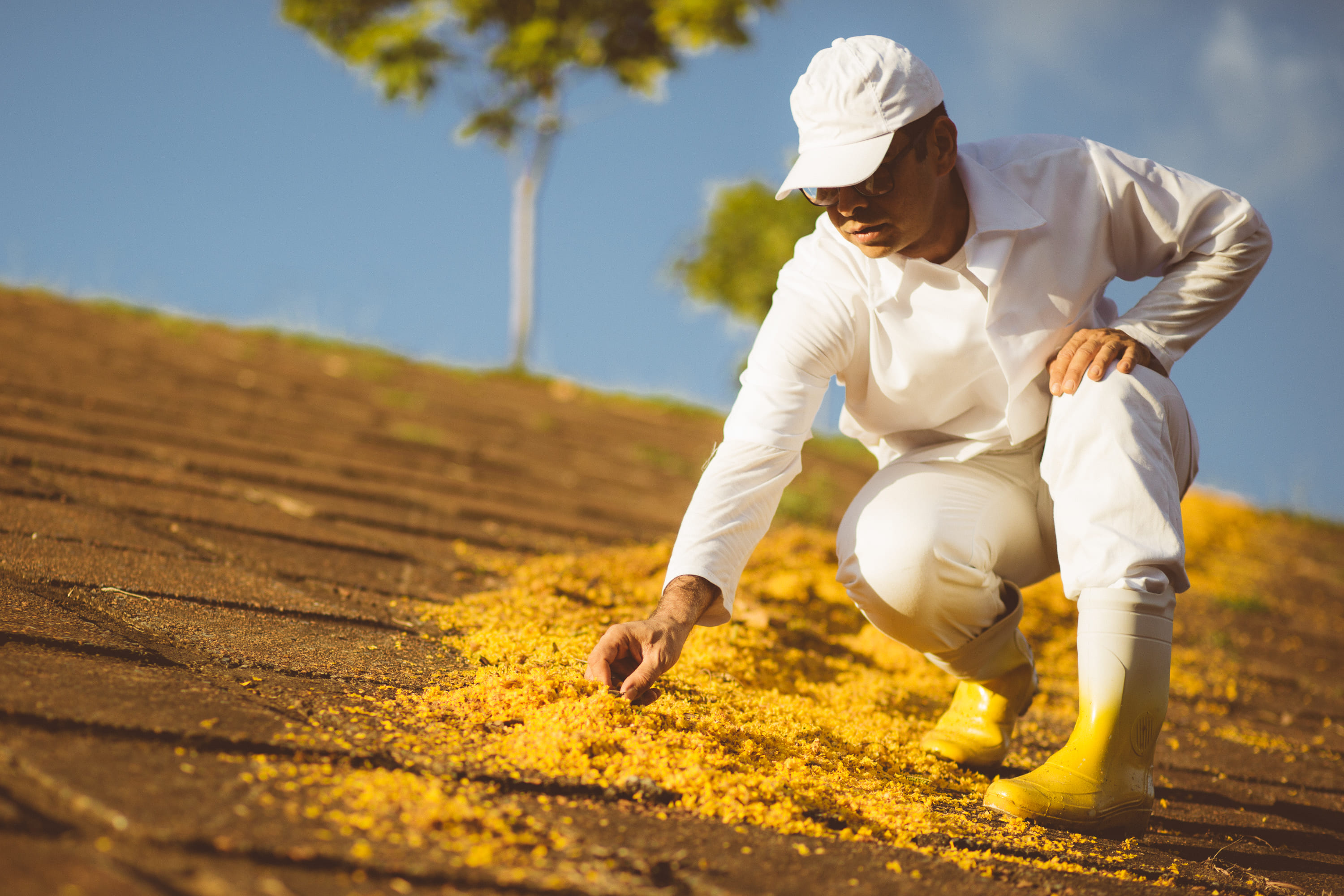 Obra de Marcelo Campos Calango.