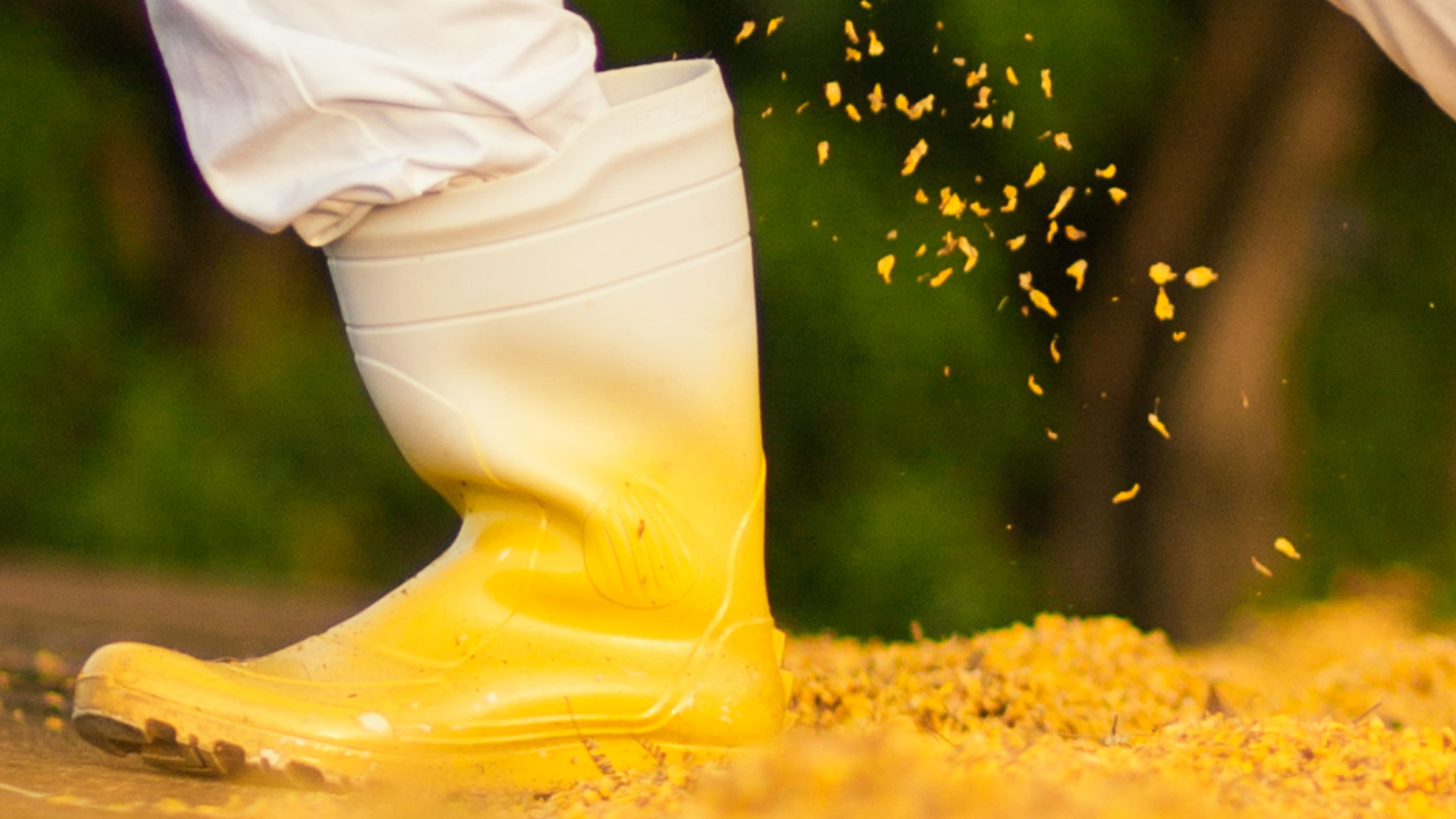 Obra de Marcelo Campos Calango.