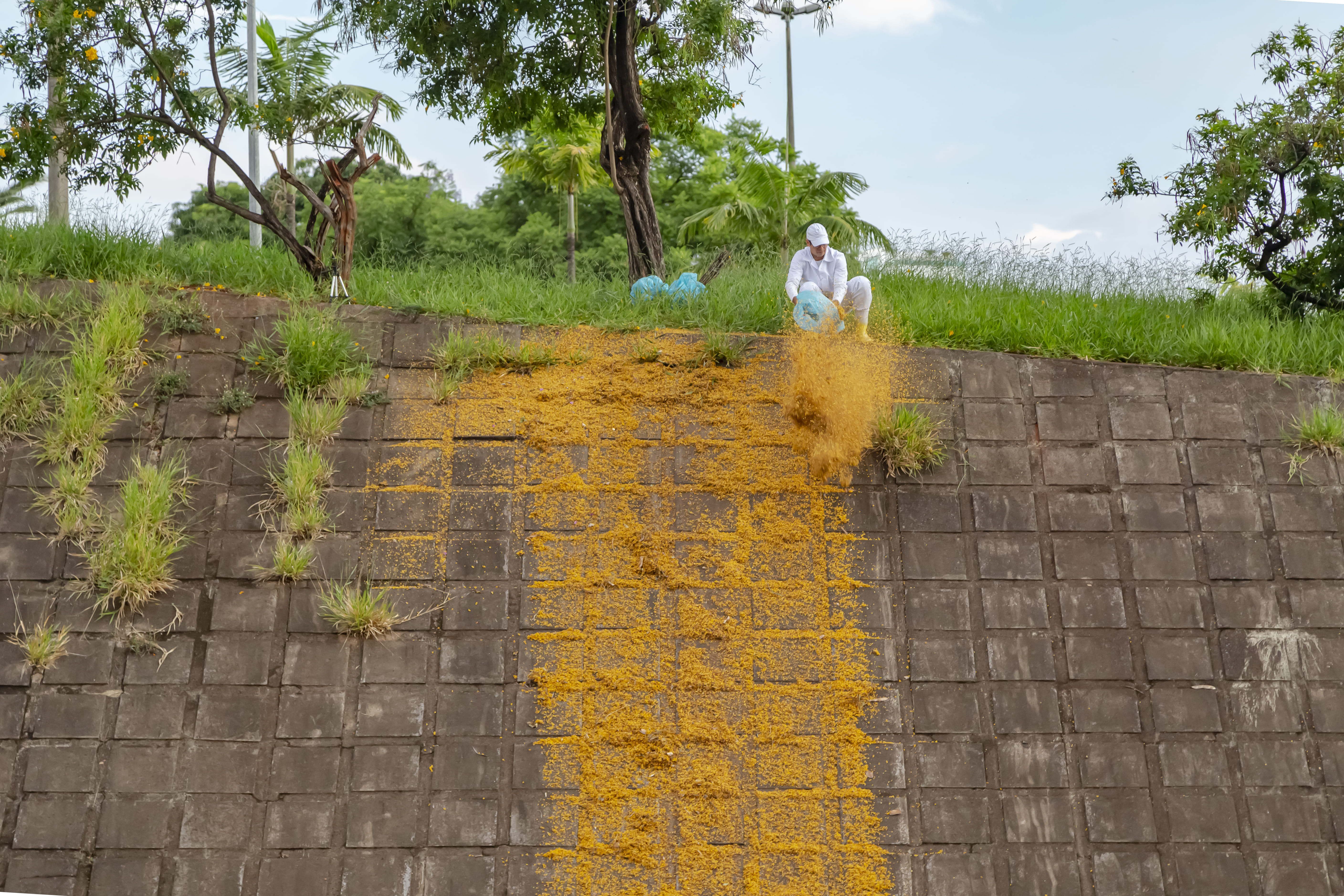 Obra de Marcelo Campos Calango.