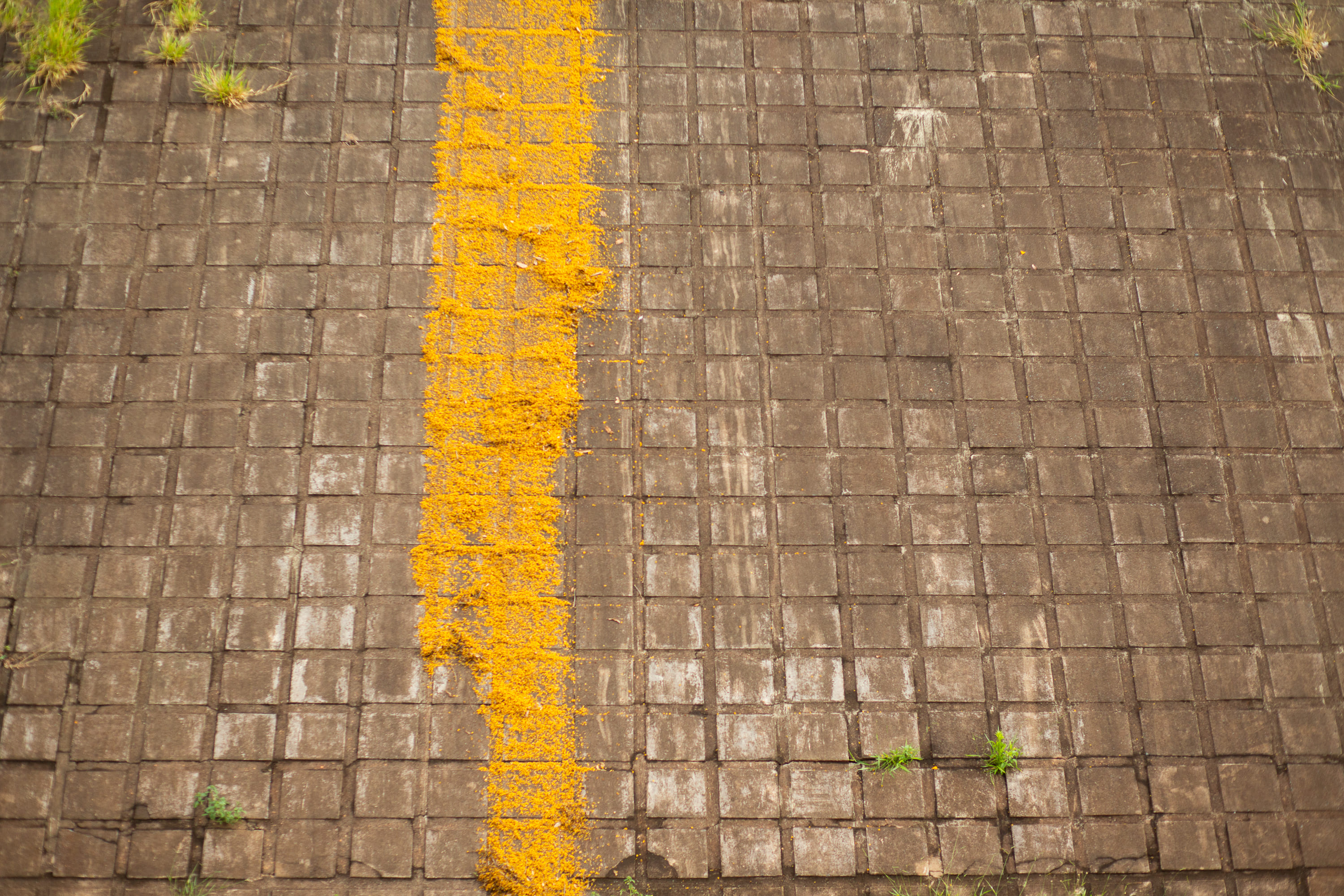 Obra de Marcelo Campos Calango.