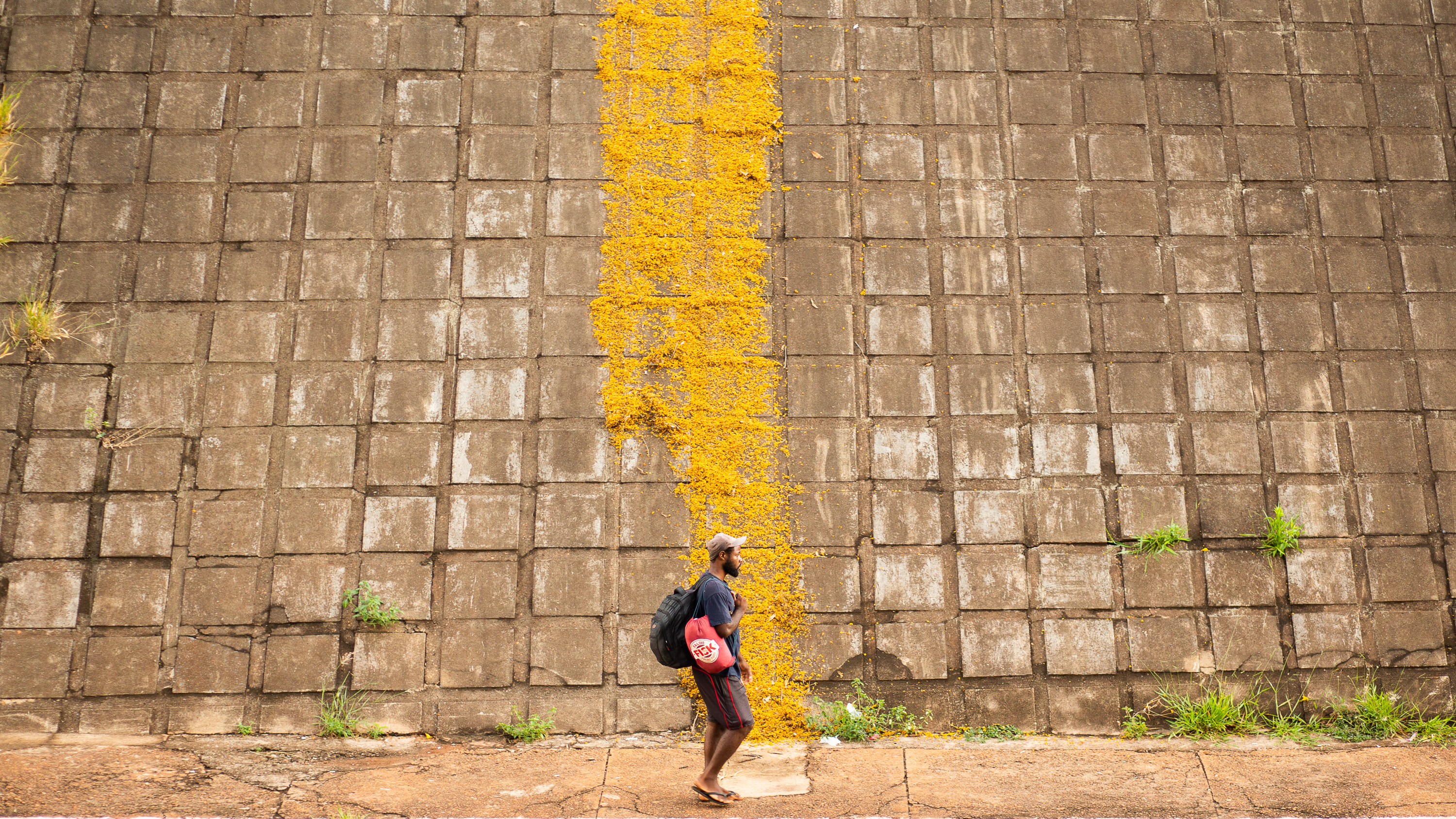 Obra de Marcelo Campos Calango.