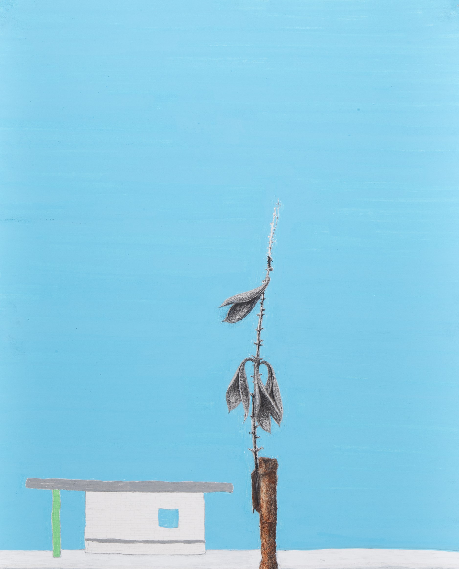 Detalhe da obra Seres Fantásticos do Cerrado 0 Híbrido de Marcelo Campos Calango.