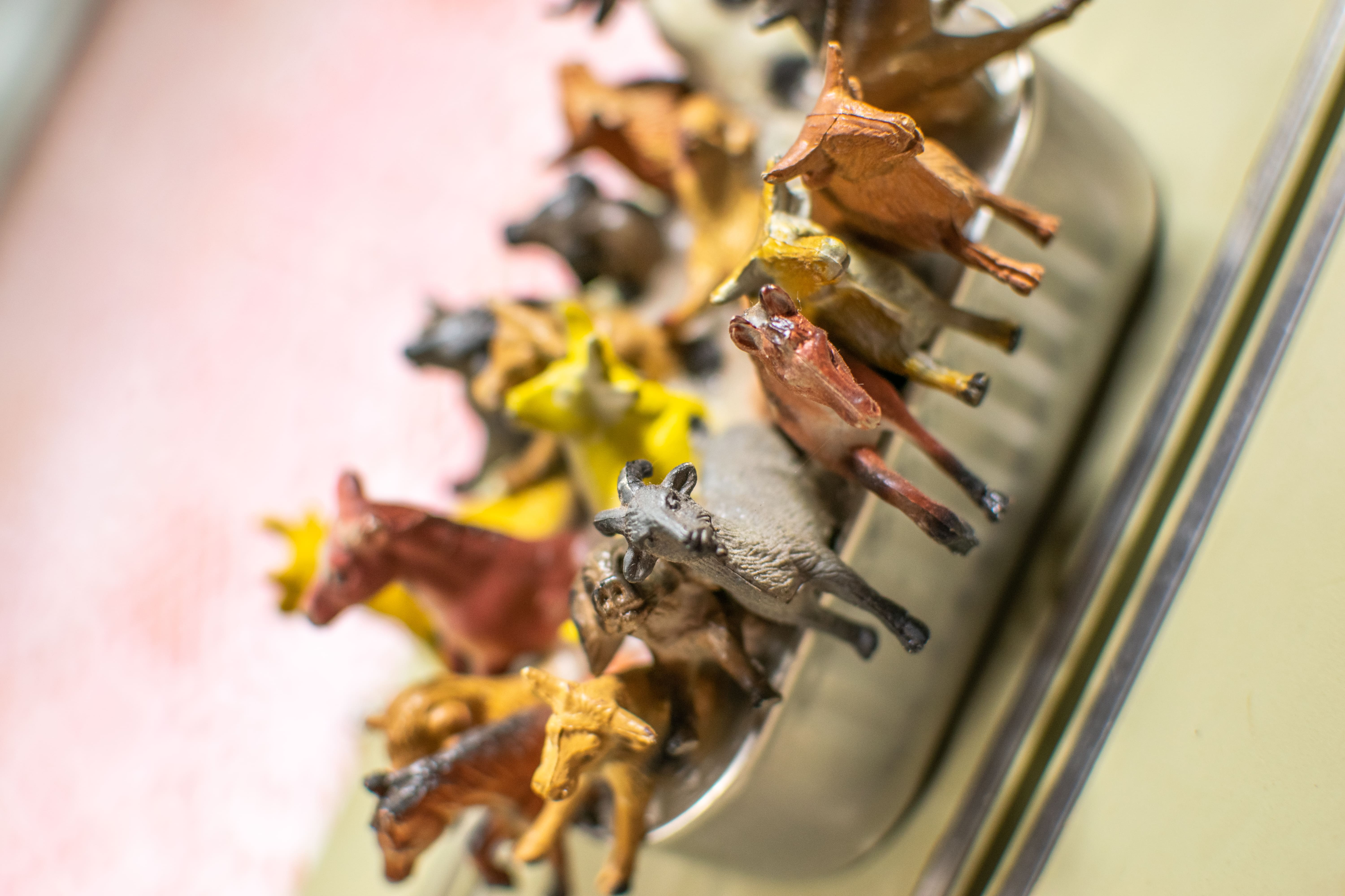 Obra de Marcelo Campos Calango.