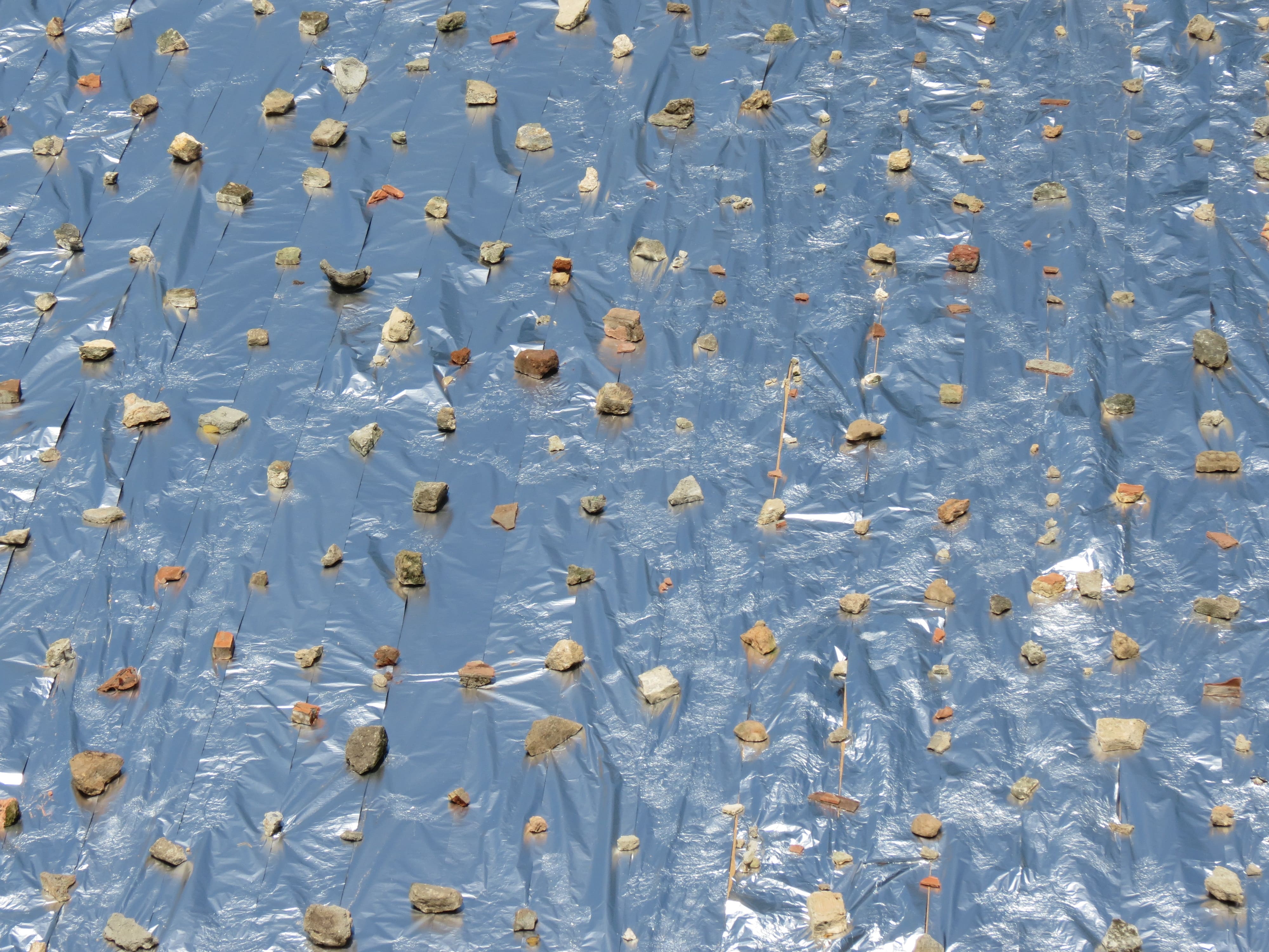 Obra de Marcelo Campos Calango.