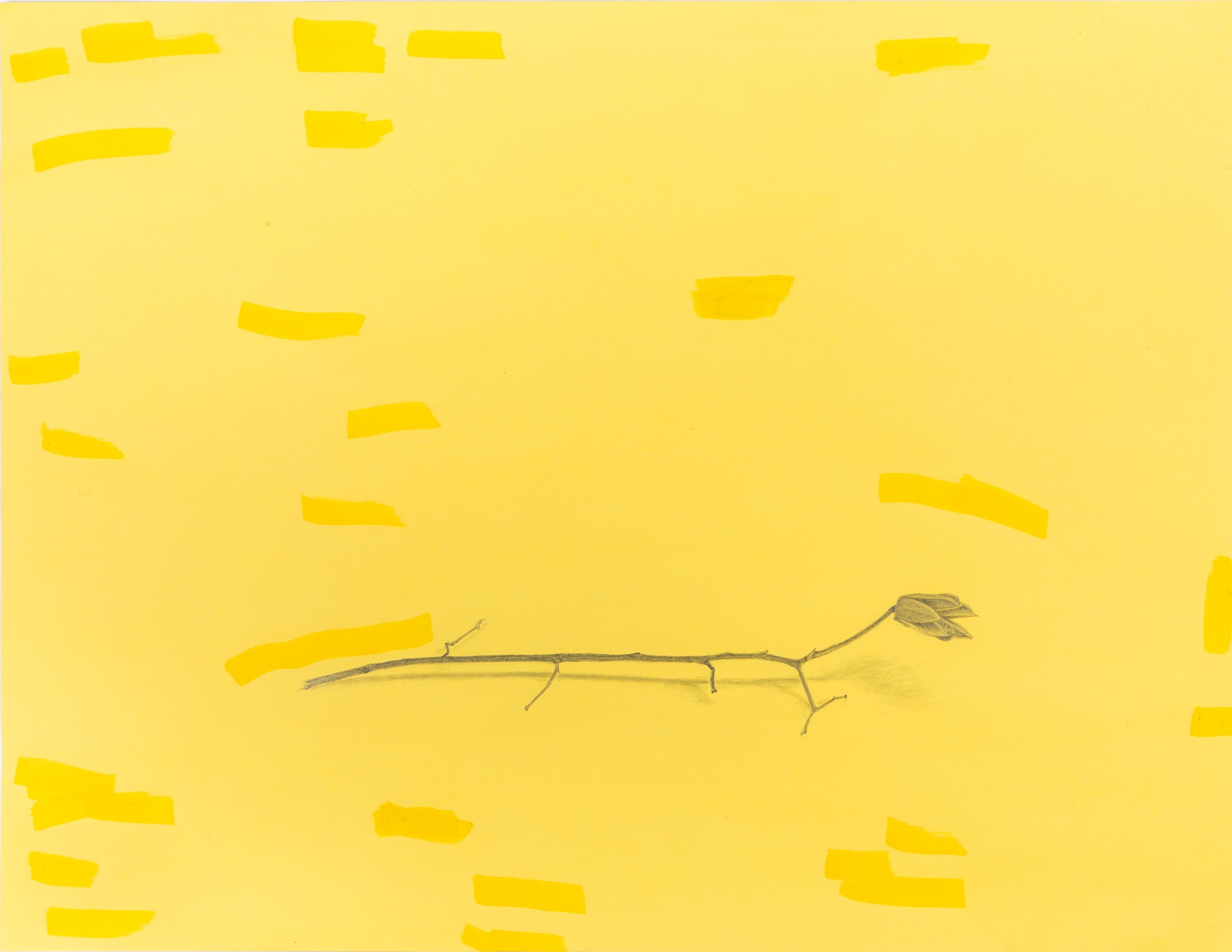 Obra de Marcelo Campos Calango.