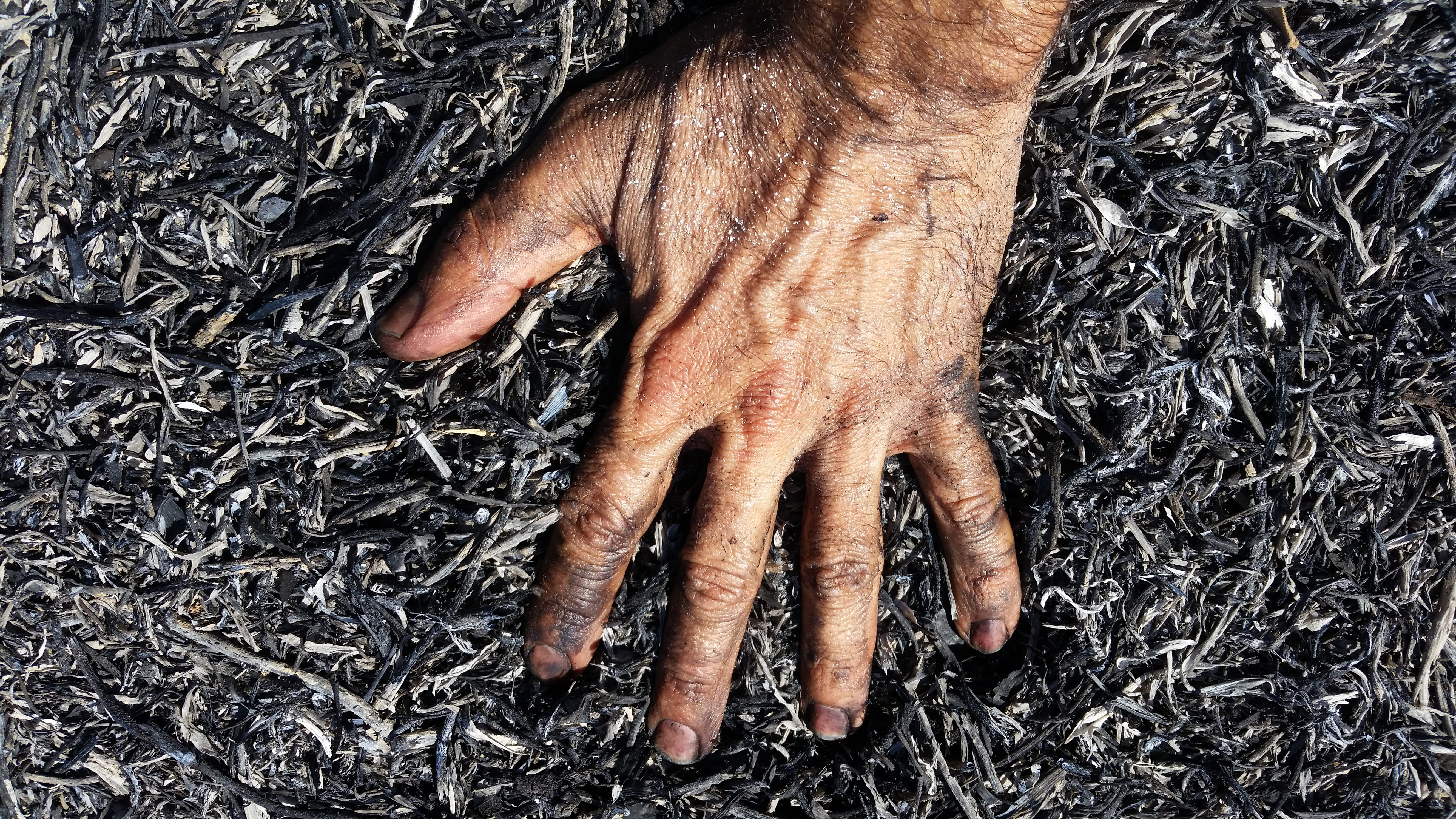 Obra de Marcelo Campos Calango.