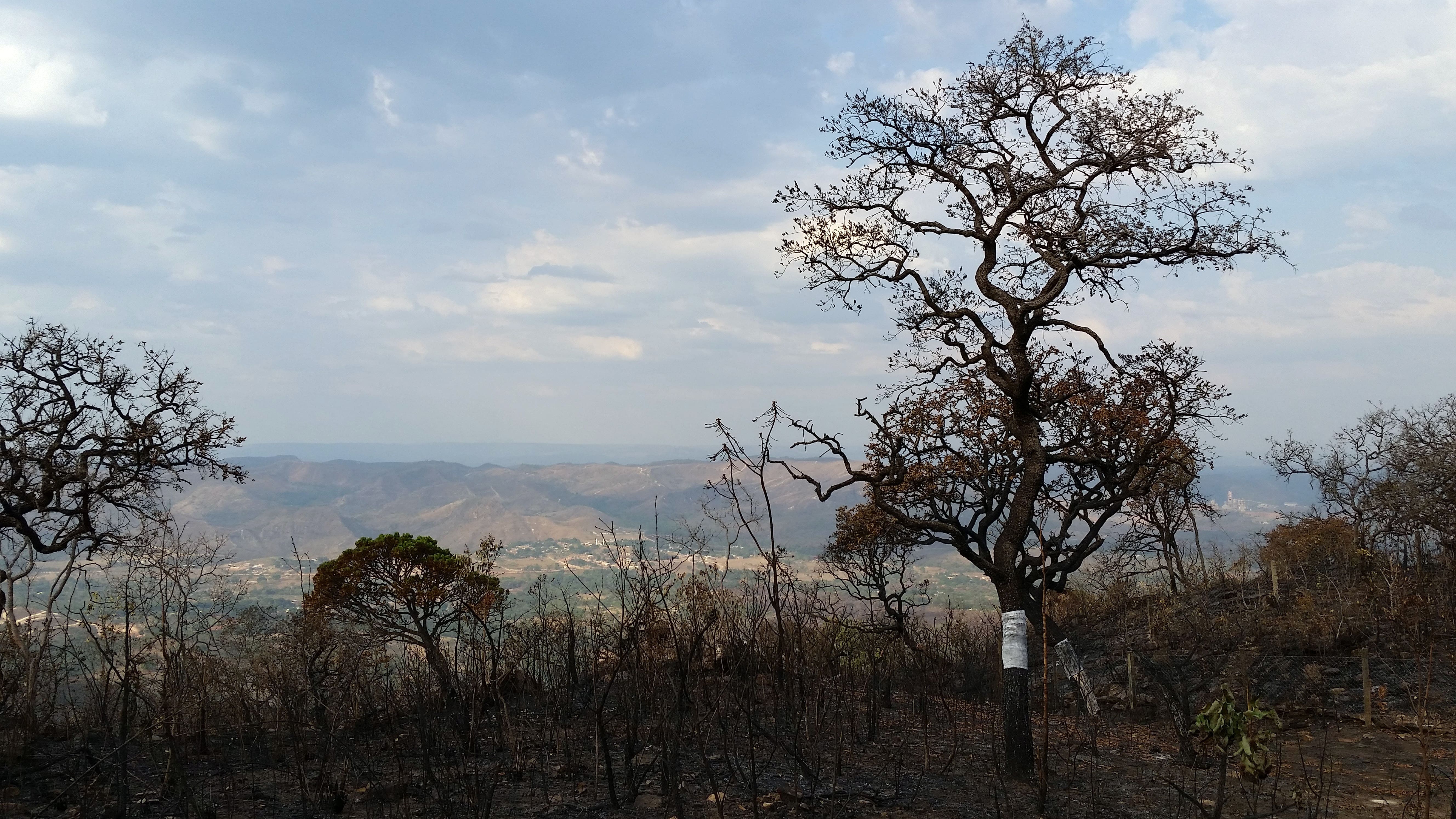 Obra de Marcelo Campos Calango.