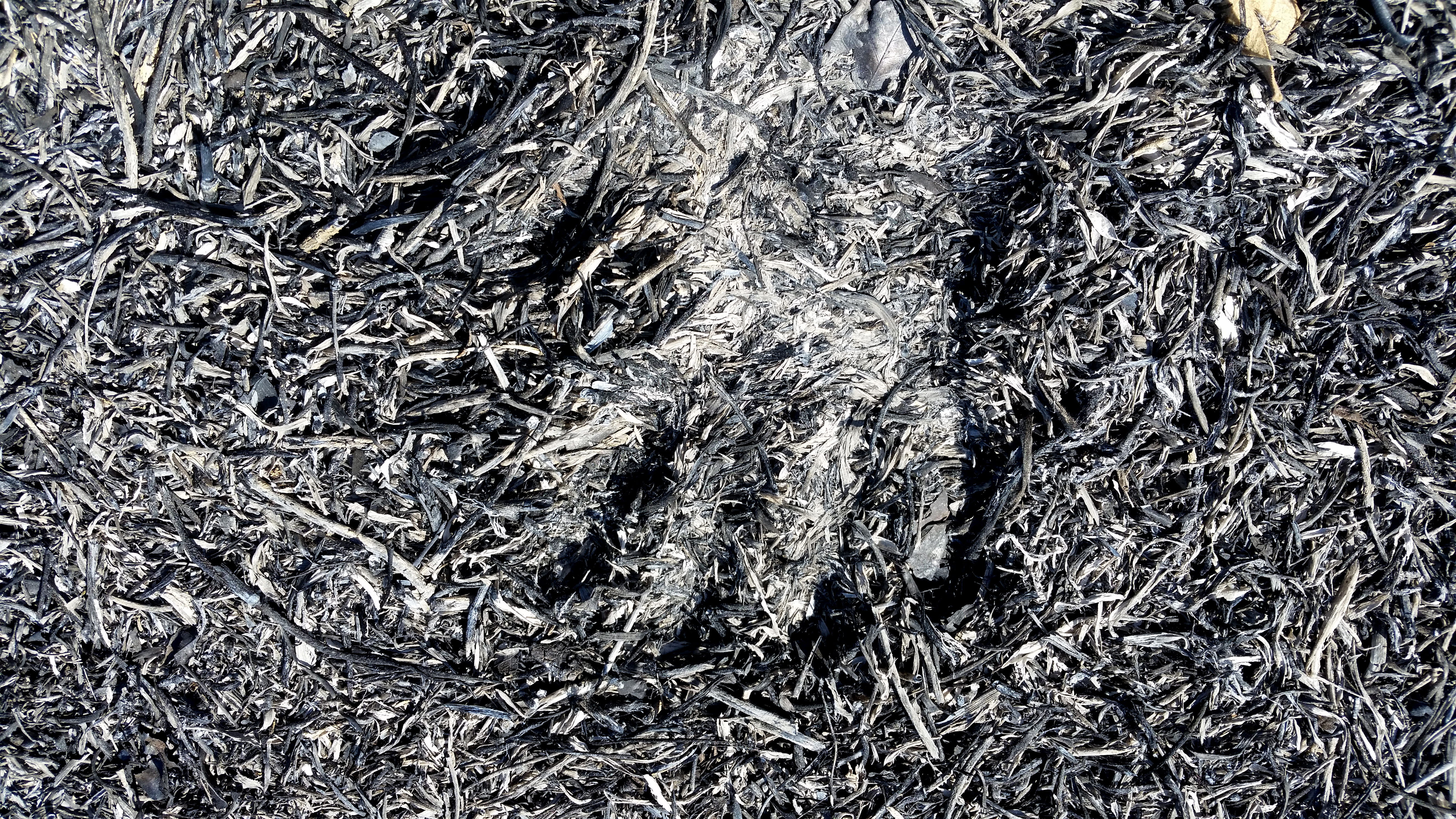 Obra de Marcelo Campos Calango.